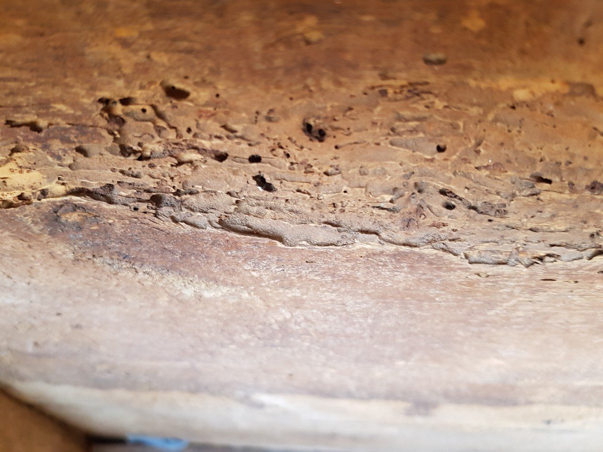 Piccolo baule da viaggio antico in legno del XVII secolo rivestito in pelle borchiata-photo-3