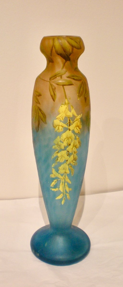 Maggiociondolo- Vaso art nouveau Daum Nancy