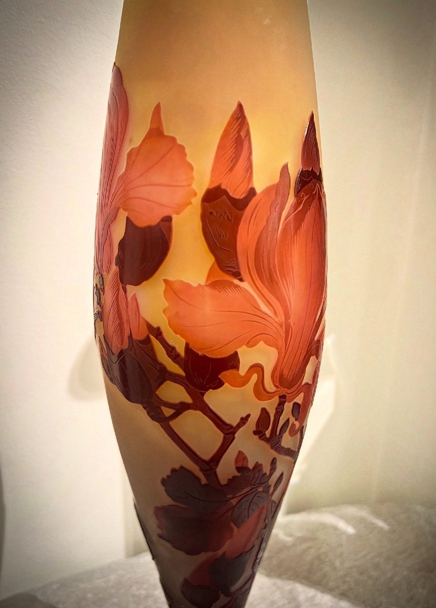 Magnolia - Vaso art nouveau Gallè -photo-3