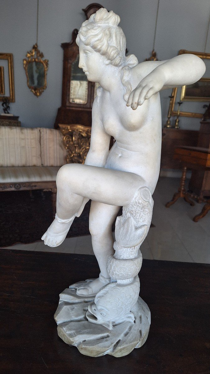 Scultura in marmo di Carrara, Afrodite, Giacomo Antonio Ponsonelli ( Massa 1654-Genova 1735) At-photo-2