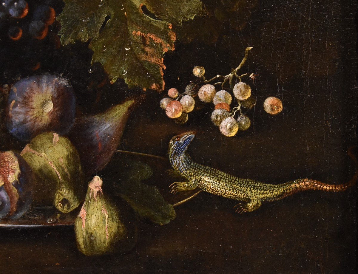 Natura morta di frutta con lucertola, Franz Werner Von Tamm (Amburgo 1658-Vienna 1754) -photo-4