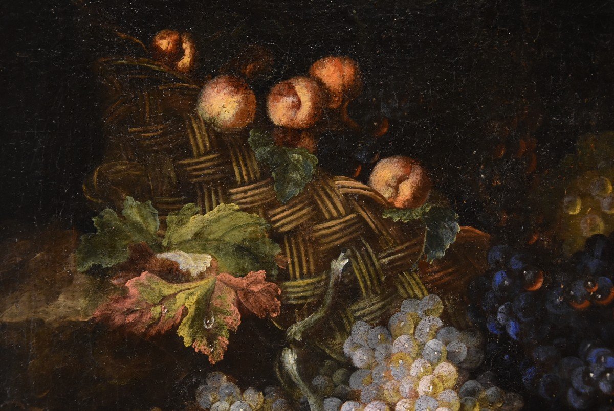 Natura morta di frutta con lucertola, Franz Werner Von Tamm (Amburgo 1658-Vienna 1754) -photo-4