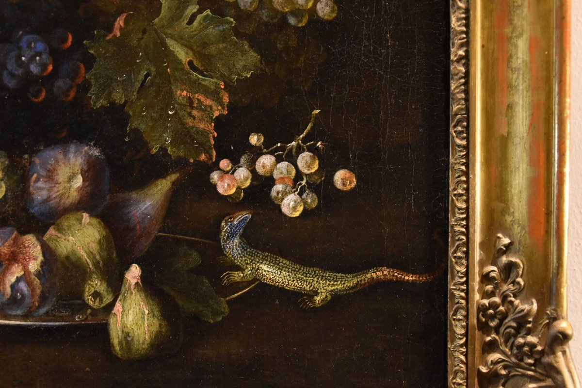 Natura morta di frutta con lucertola, Franz Werner Von Tamm (Amburgo 1658-Vienna 1754) -photo-7