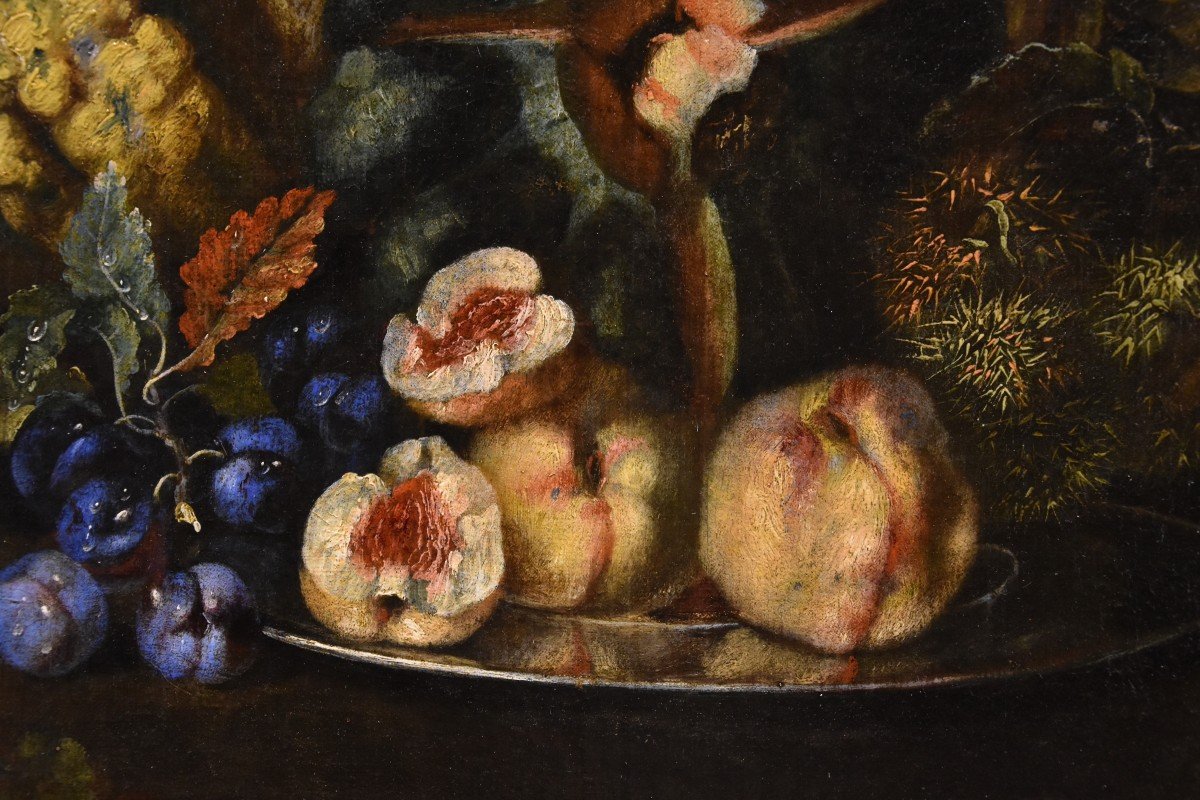 Natura morta di frutta con picchio verde, Franz Werner Von Tamm (Amburgo 1658-Vienna 1754)-photo-4