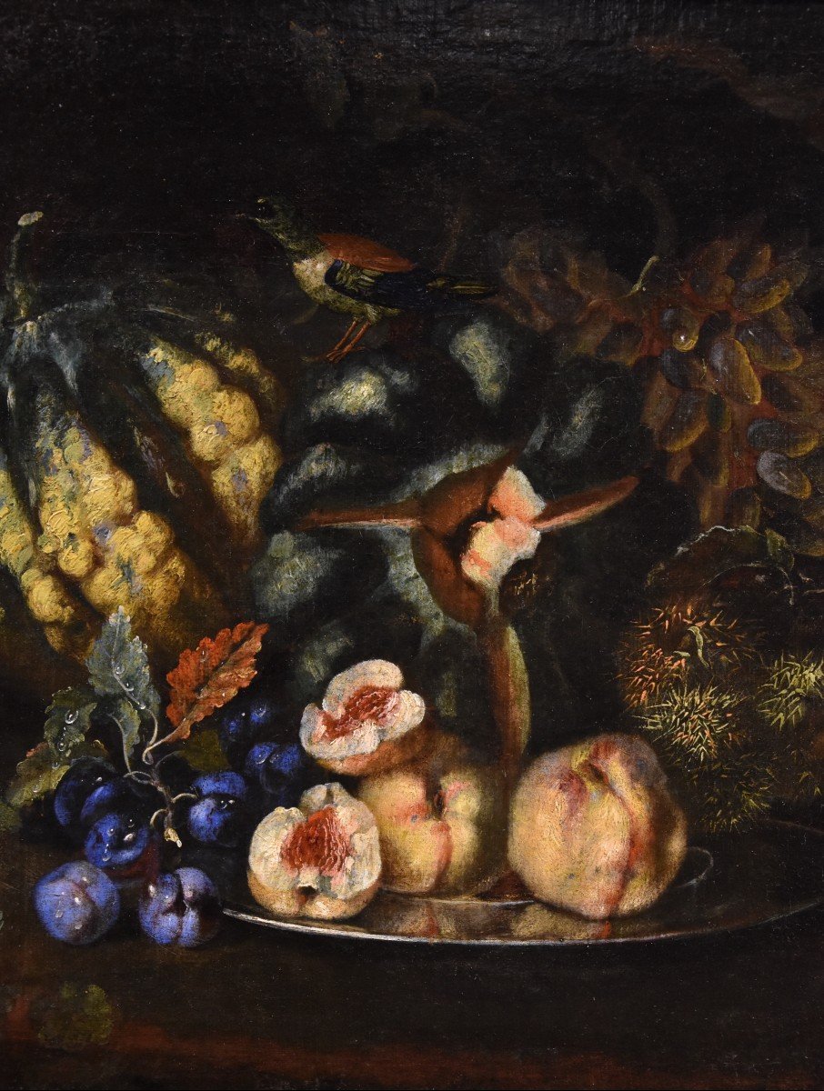 Natura morta di frutta con picchio verde, Franz Werner Von Tamm (Amburgo 1658-Vienna 1754)-photo-2