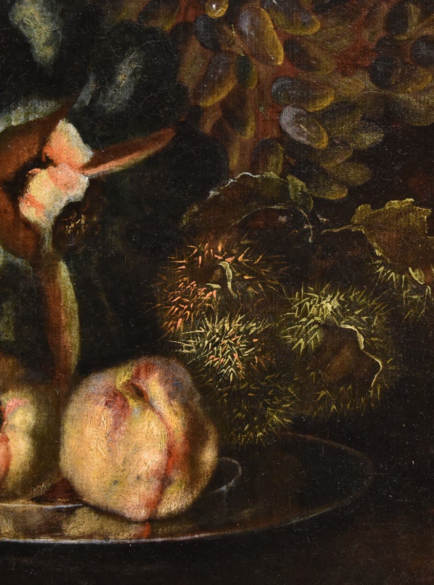 Natura morta di frutta con picchio verde, Franz Werner Von Tamm (Amburgo 1658-Vienna 1754)-photo-4