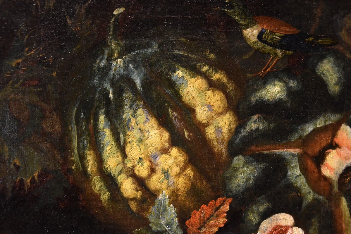 Natura morta di frutta con picchio verde, Franz Werner Von Tamm (Amburgo 1658-Vienna 1754)-photo-5