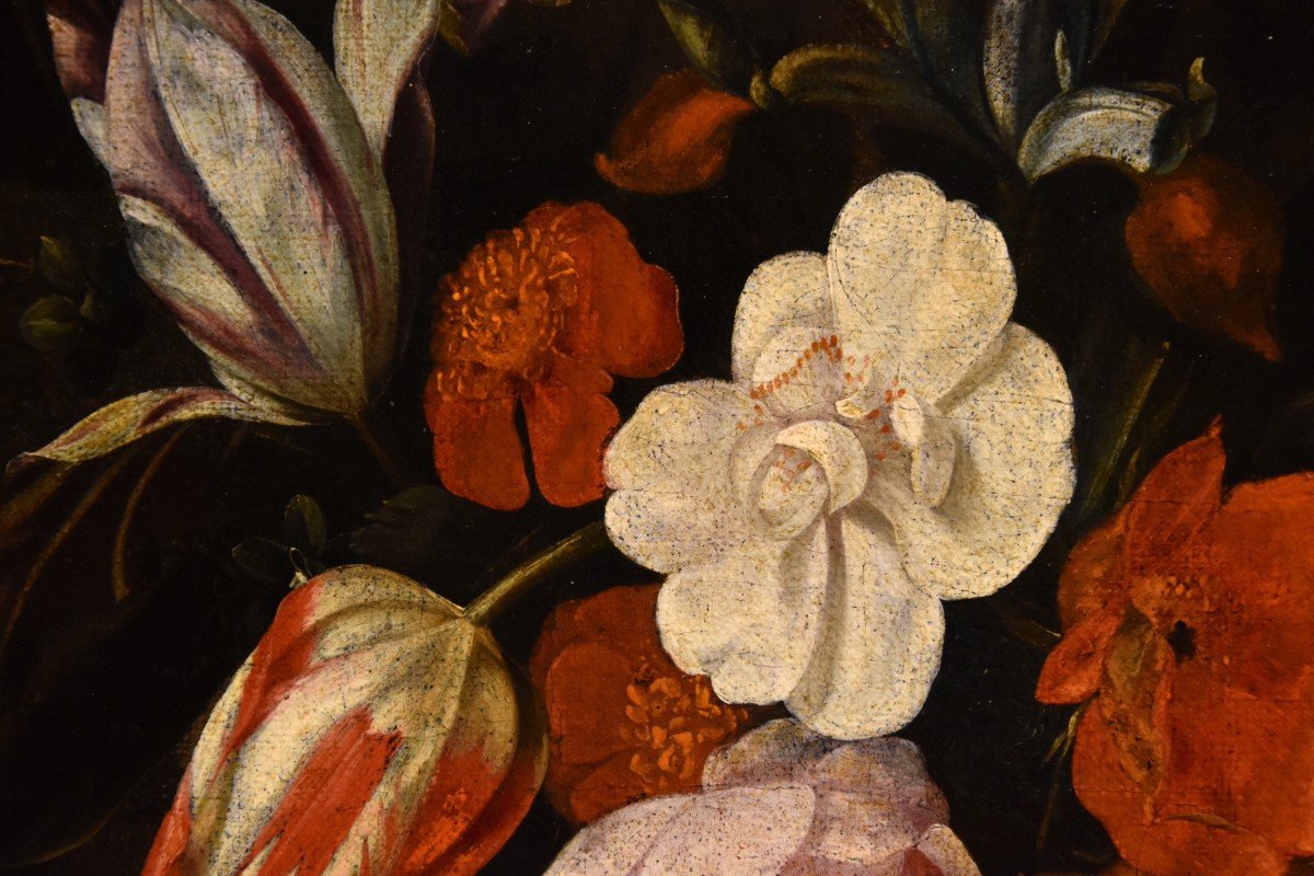 Ghirlanda di fiori con cartiglio, Frans van Everbroeck (Anversa, 1628 – Londra 1693) -photo-5