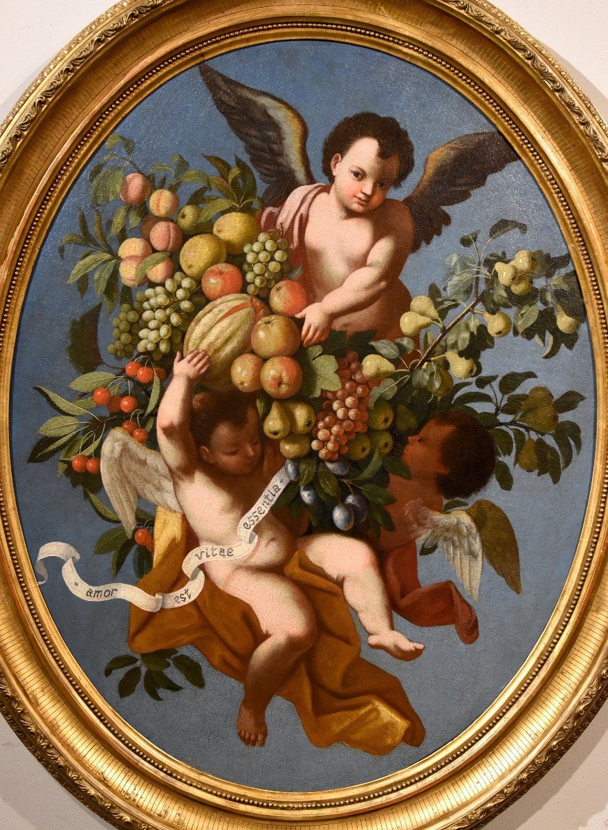 Composizione di frutta sorretta da tre angeli, Luigi Garzi (Pistoia 1638 – Roma1721)-photo-2