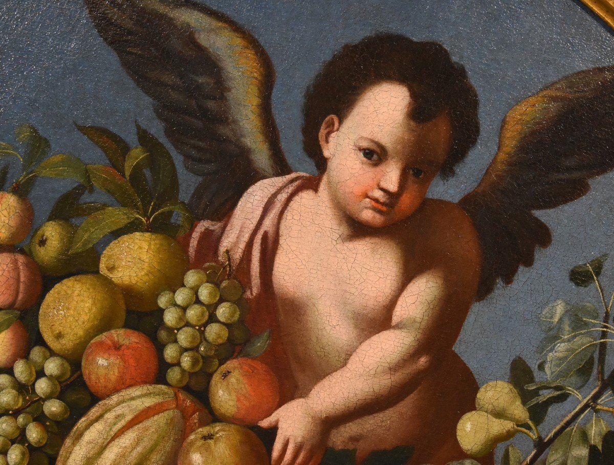 Composizione di frutta sorretta da tre angeli, Luigi Garzi (Pistoia 1638 – Roma1721)-photo-3