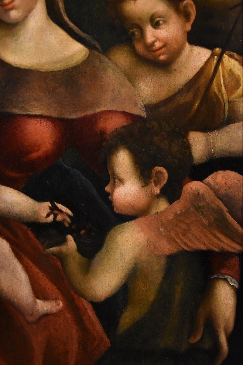 Madonna col Bambino, due angeli e Giovanni Battista, Scuola di Antonio Allegri, Correggio-photo-4