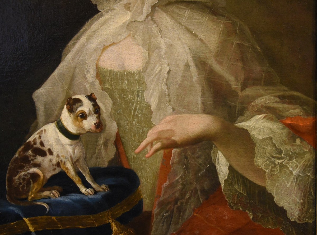 Ritratto di nobildonna con cagnolino, Louis Michel van Loo (Toulon 1707– Parigi 1771)-photo-3