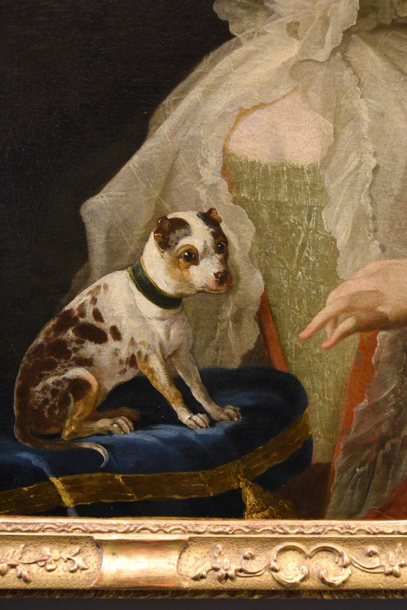 Ritratto di nobildonna con cagnolino, Louis Michel van Loo (Toulon 1707– Parigi 1771)-photo-7