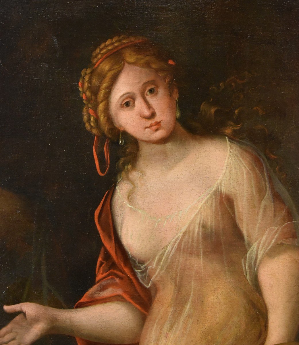 Mattheus Terwesten (L'Aia, 1670 - 1757) Ritratto di fanciulla come allegoria della pittura-photo-4