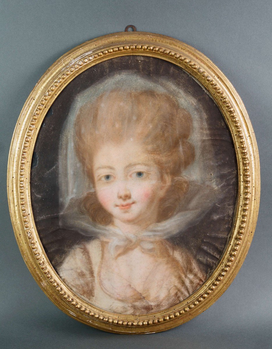 Jeremiah Meyer (1735-1789) 18th Portrait Pastel On Parchment Gilt Frame