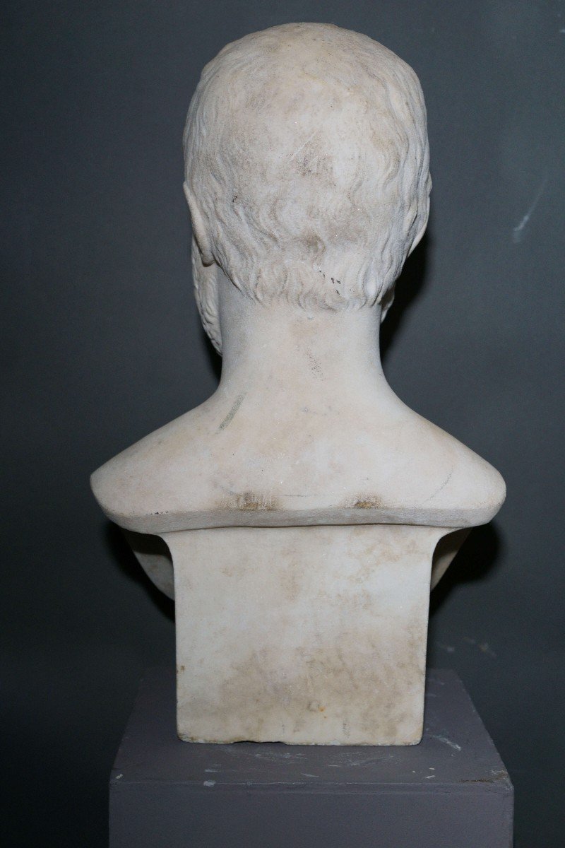 Busto Neoclassico di Epicuro in Erma Marmo Bianco  XIX secolo-photo-3