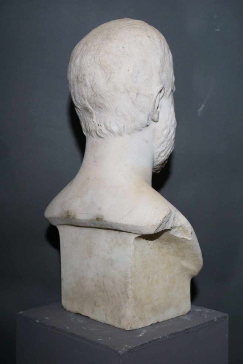 Busto Neoclassico di Epicuro in Erma Marmo Bianco  XIX secolo-photo-3