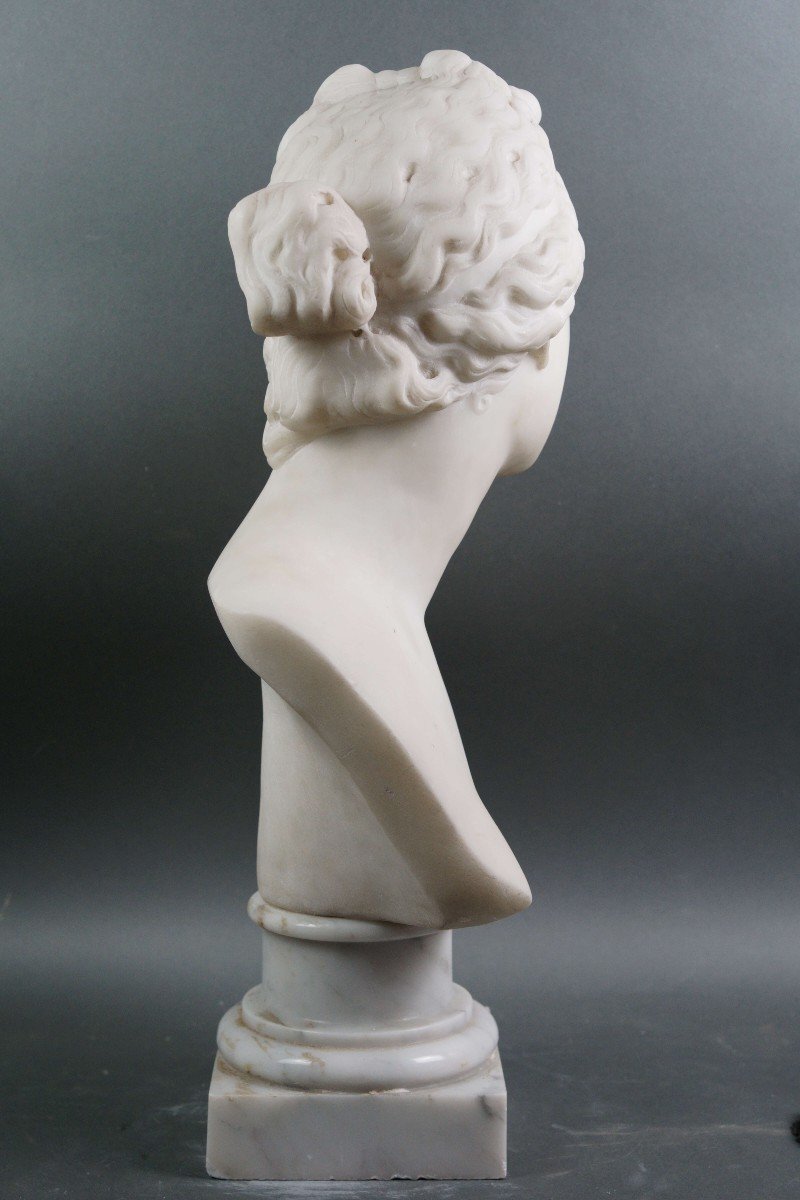 Busto Neoclassico in Marmo Venere dei Medici Italia XIX secolo-photo-3