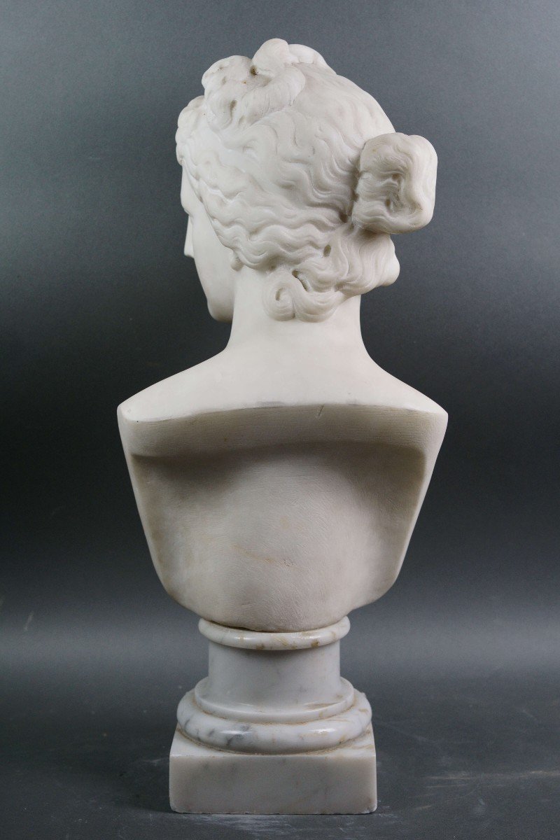 Busto Neoclassico in Marmo Venere dei Medici Italia XIX secolo-photo-1