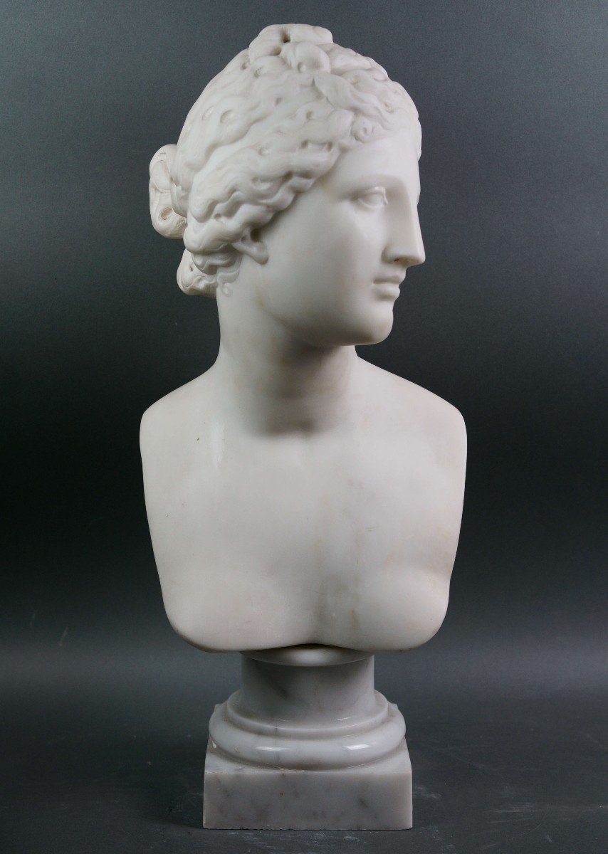 Busto Neoclassico in Marmo Venere dei Medici Italia XIX secolo