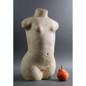 Torso in Marmo Nudo FemminileScuola Moderna inizi XX secolo