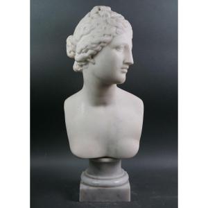 Busto Neoclassico in Marmo Venere dei Medici Italia XIX secolo