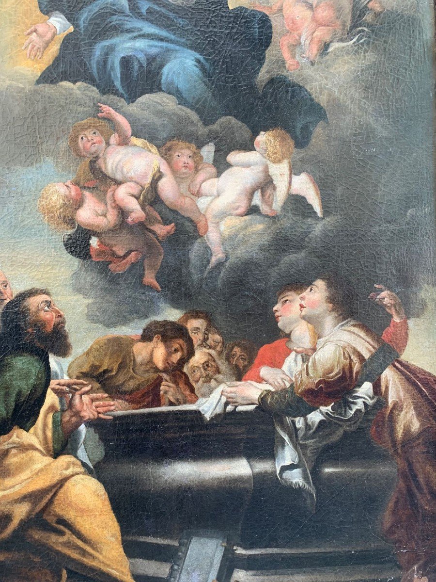 Assunzione di Maria al cielo. XVII secolo.  Schut, Cornelis I (1597-1655, Anversa)-photo-3