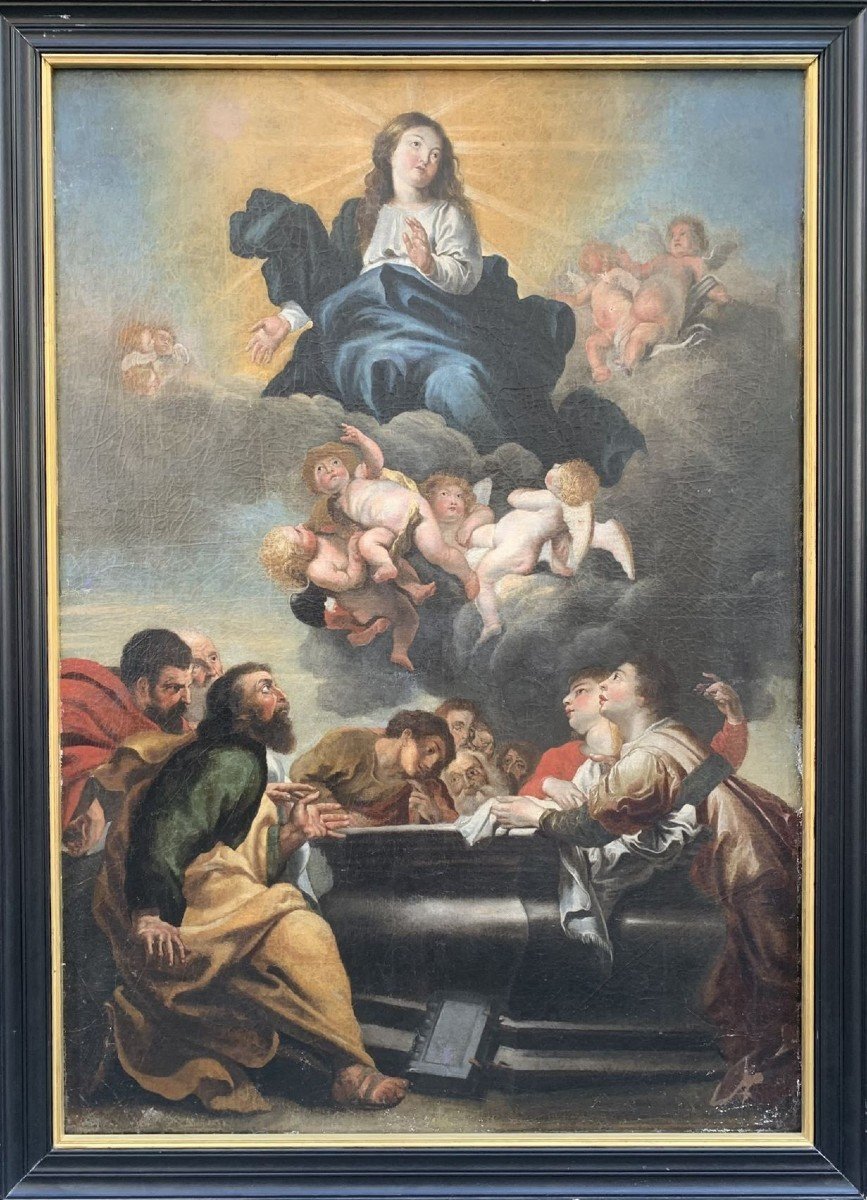 Assunzione di Maria al cielo. XVII secolo.  Schut, Cornelis I (1597-1655, Anversa)