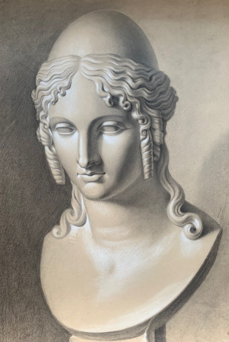 Studio accademico del XIX secolo della testa di Elena di Troia da Canova.  Cm 63 x cm 46