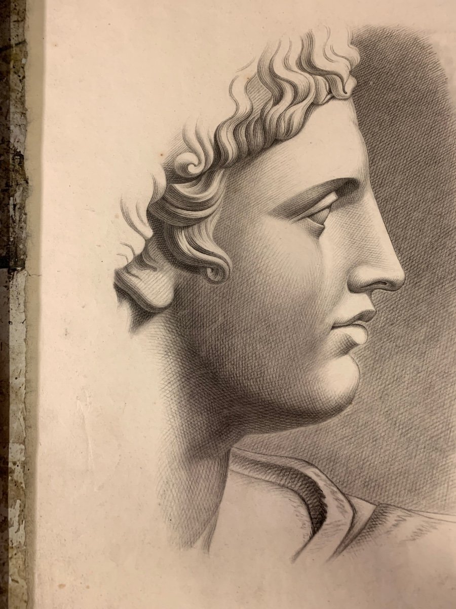 Disegno accademico italiano. Testa di Apollo del Belvedere. XIX sec. -photo-3