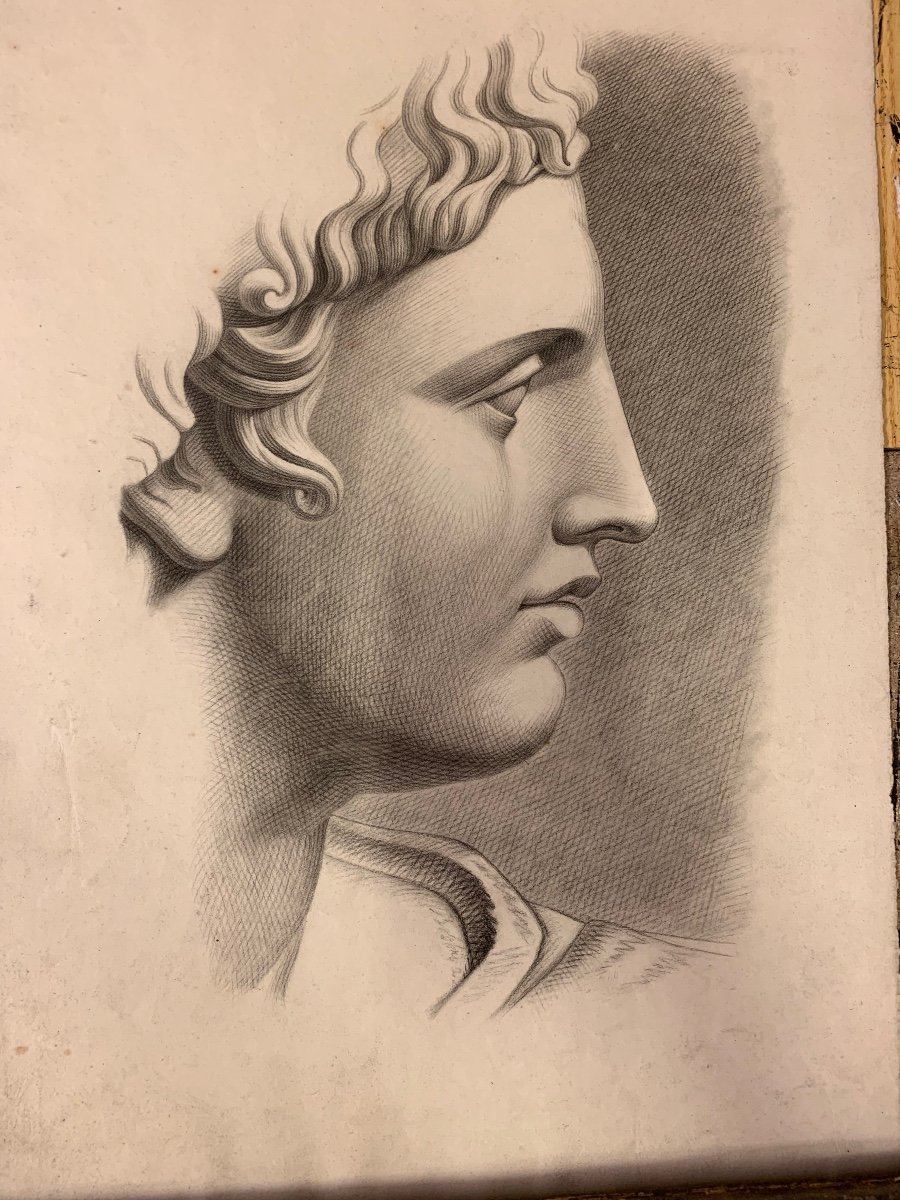 Disegno accademico italiano. Testa di Apollo del Belvedere. XIX sec. -photo-5