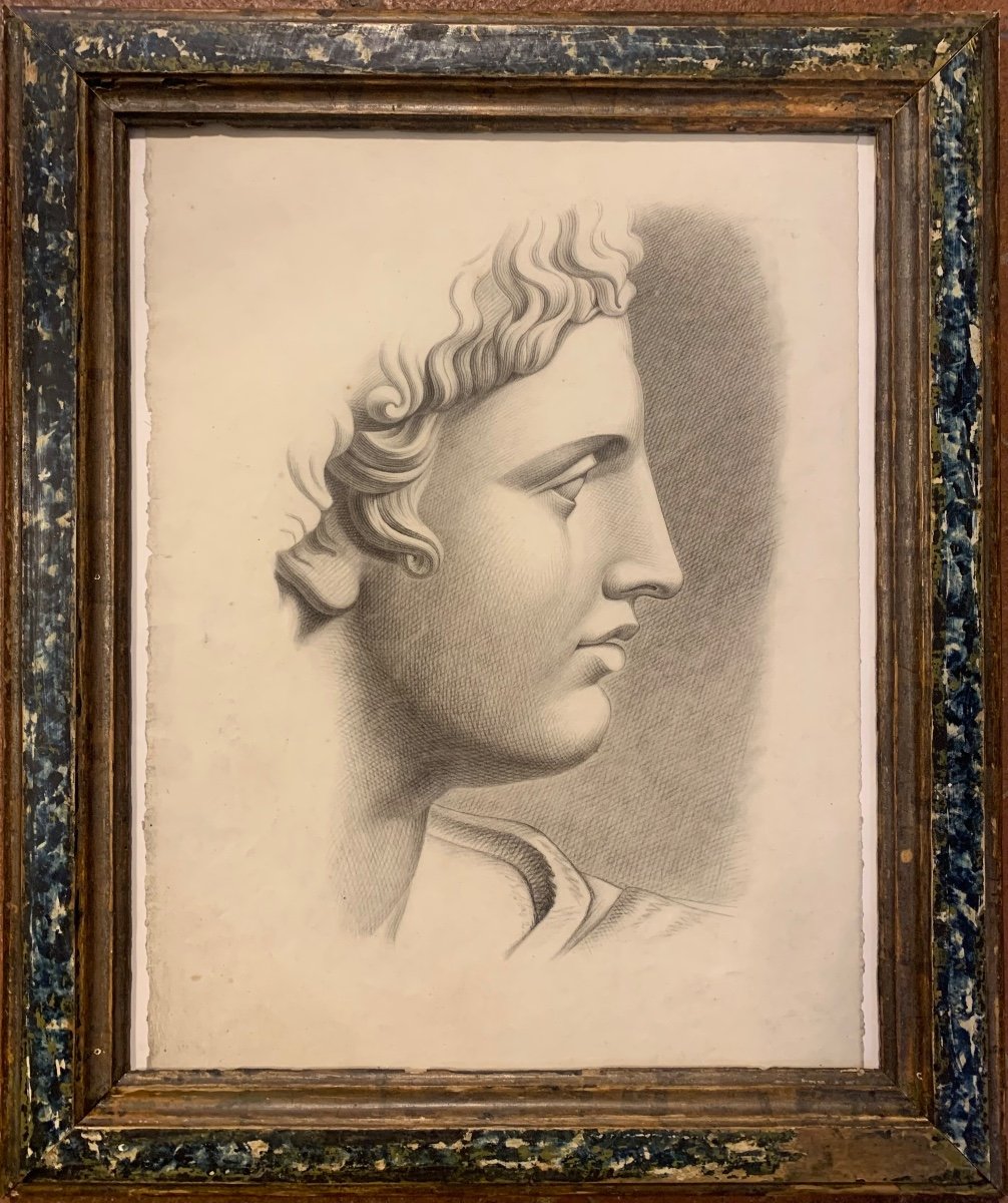 Disegno accademico italiano. Testa di Apollo del Belvedere. XIX sec. 