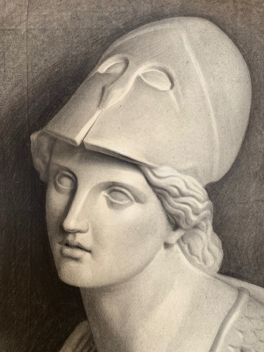 Disegno Accademico del XIX Secolo: Studio a Carboncino del Busto di Pallas Athena-photo-2