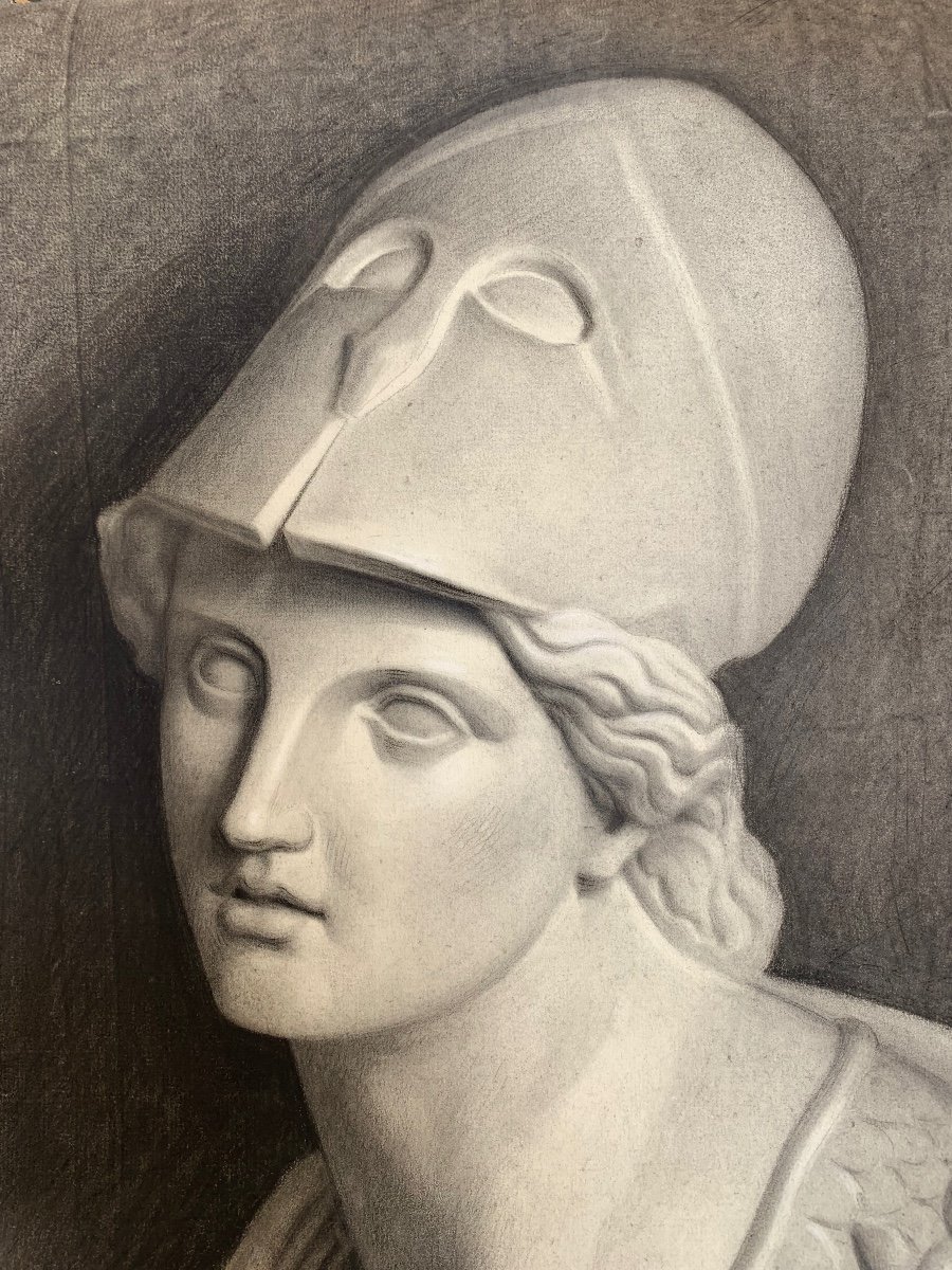 Disegno Accademico del XIX Secolo: Studio a Carboncino del Busto di Pallas Athena-photo-3