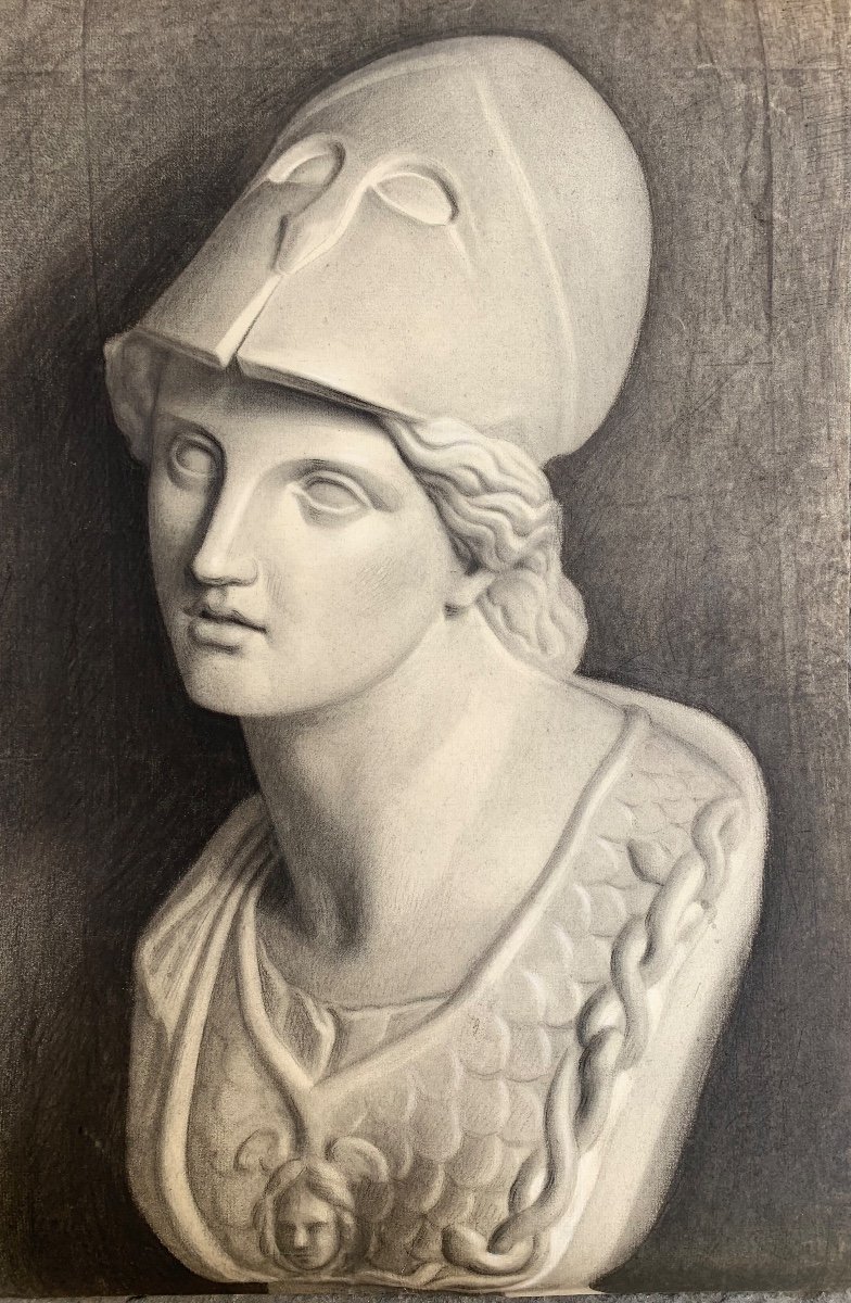 Disegno Accademico del XIX Secolo: Studio a Carboncino del Busto di Pallas Athena