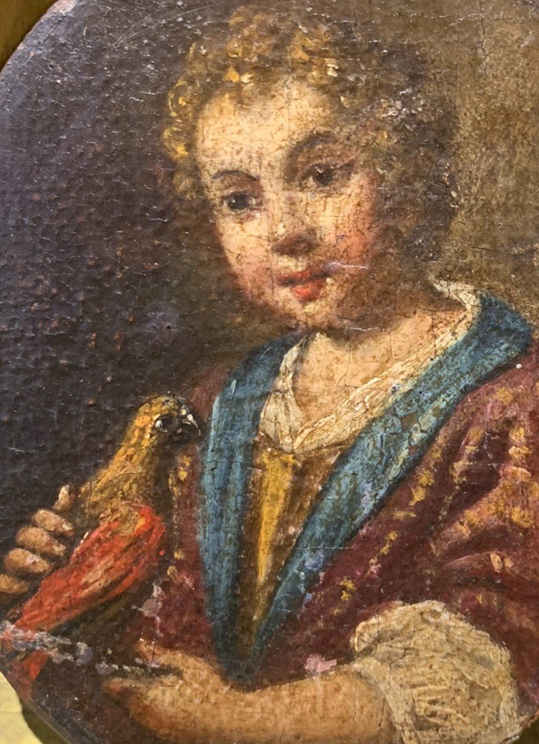 Ritratto di Bambino che gioca con l'Uccellino. Antonio Amorosi (1660-1738), attrib.-photo-5