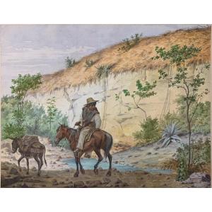 Ragazzi mess Ivano a cavallo nei pressi di Veracruz. Firmato J S Hegi. Metà XIX secolo.