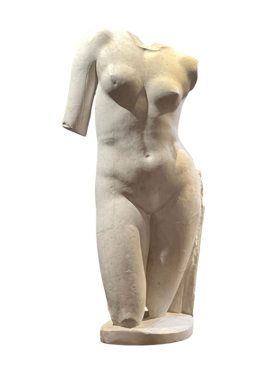 Torso di Venere 1930-1940