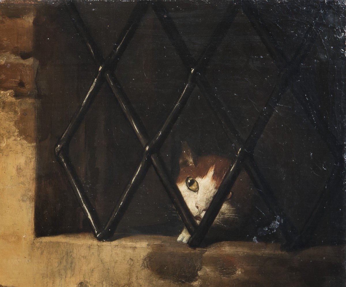 Giovan Francesco Briglia, "Interno di dispensa con selvaggina di penna e gatto"-photo-3