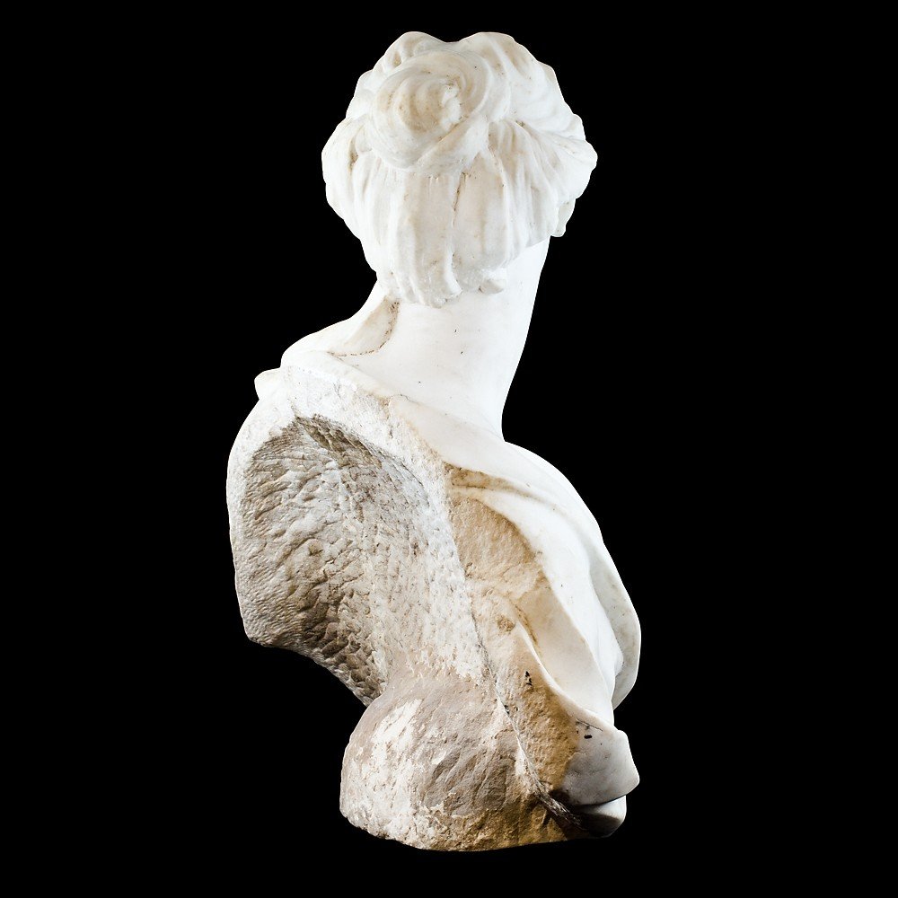 Scultura raffigurante mezzo busto di nobildonna-photo-4