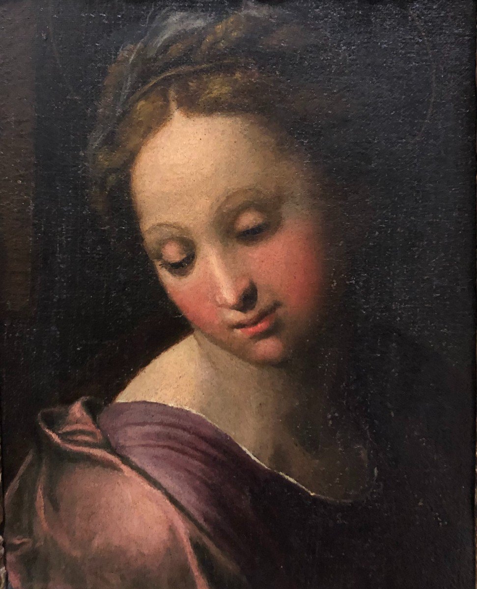 Peinture de la " Femme Noble " sur table de la fin du XVIe siècle.