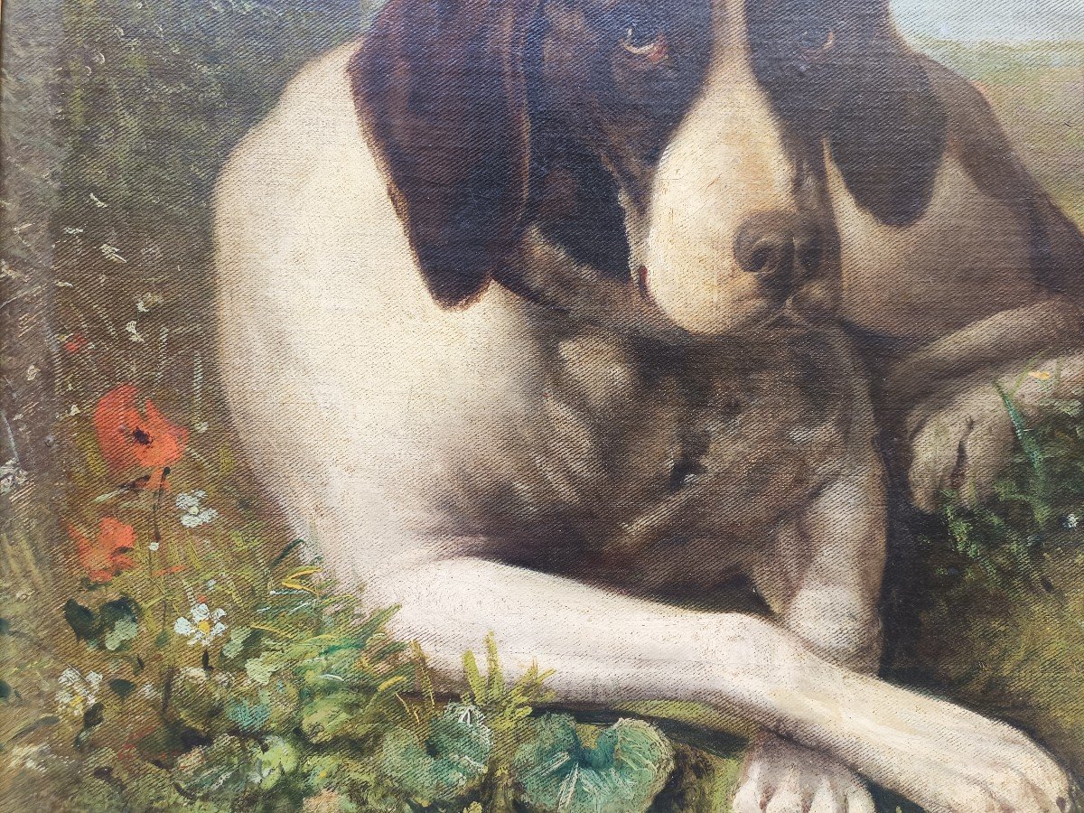 Dipinto raffigurante cane . Francia XIX secolo. -photo-2
