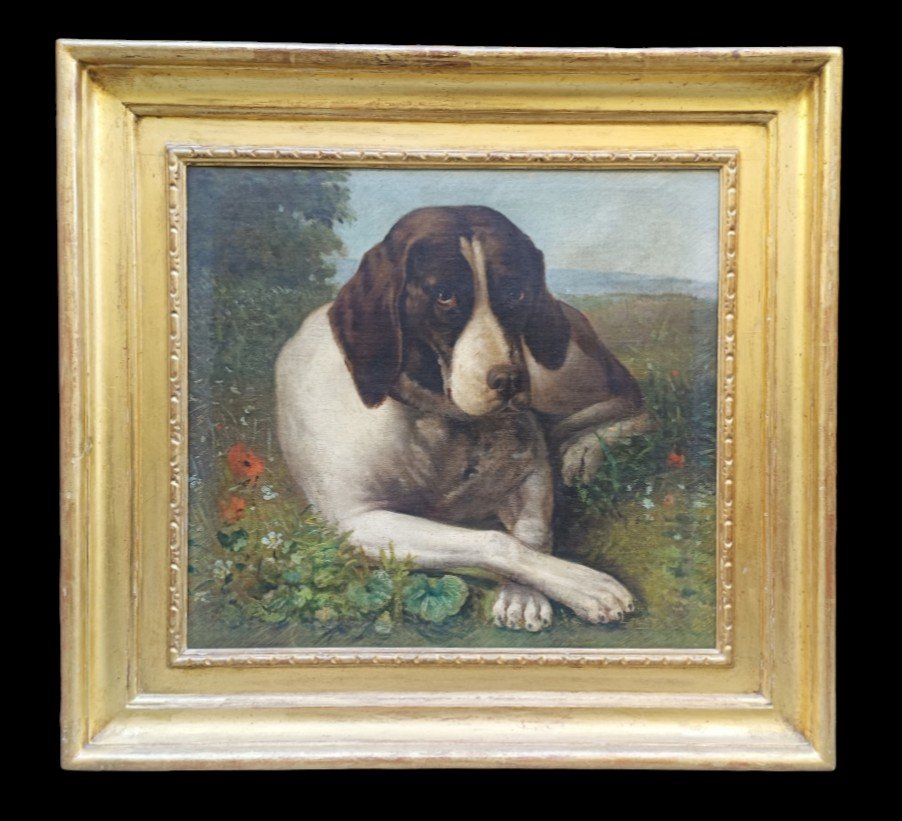 Dipinto raffigurante cane . Francia XIX secolo. 