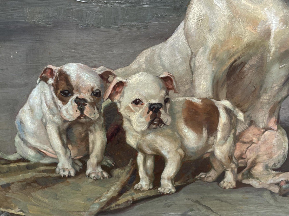 Ernst Hugo Von Stenglin (1862 – 1914) – Bulldog  -photo-5