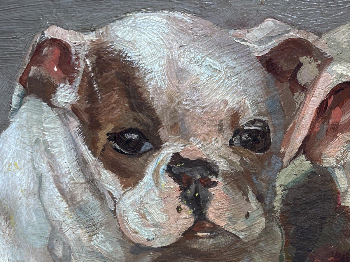 Ernst Hugo Von Stenglin (1862 – 1914) – Bulldog  -photo-7