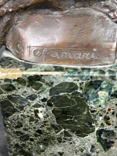 Scultura in bronzo raffigurante un gufo su base in marmo firmata Sirio Tofanari-photo-1