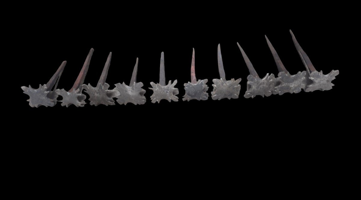 10 Chiodi quadrilobati in ferro forgiato XVII secolo -photo-3