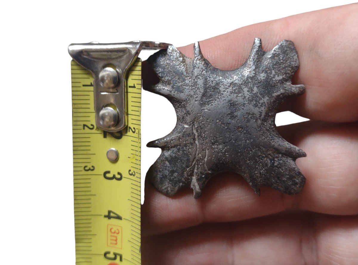 10 Chiodi quadrilobati in ferro forgiato XVII secolo -photo-4