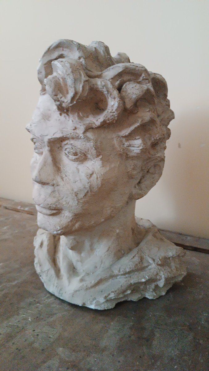 scultura busto in gesso firmato A.Novelli-photo-2