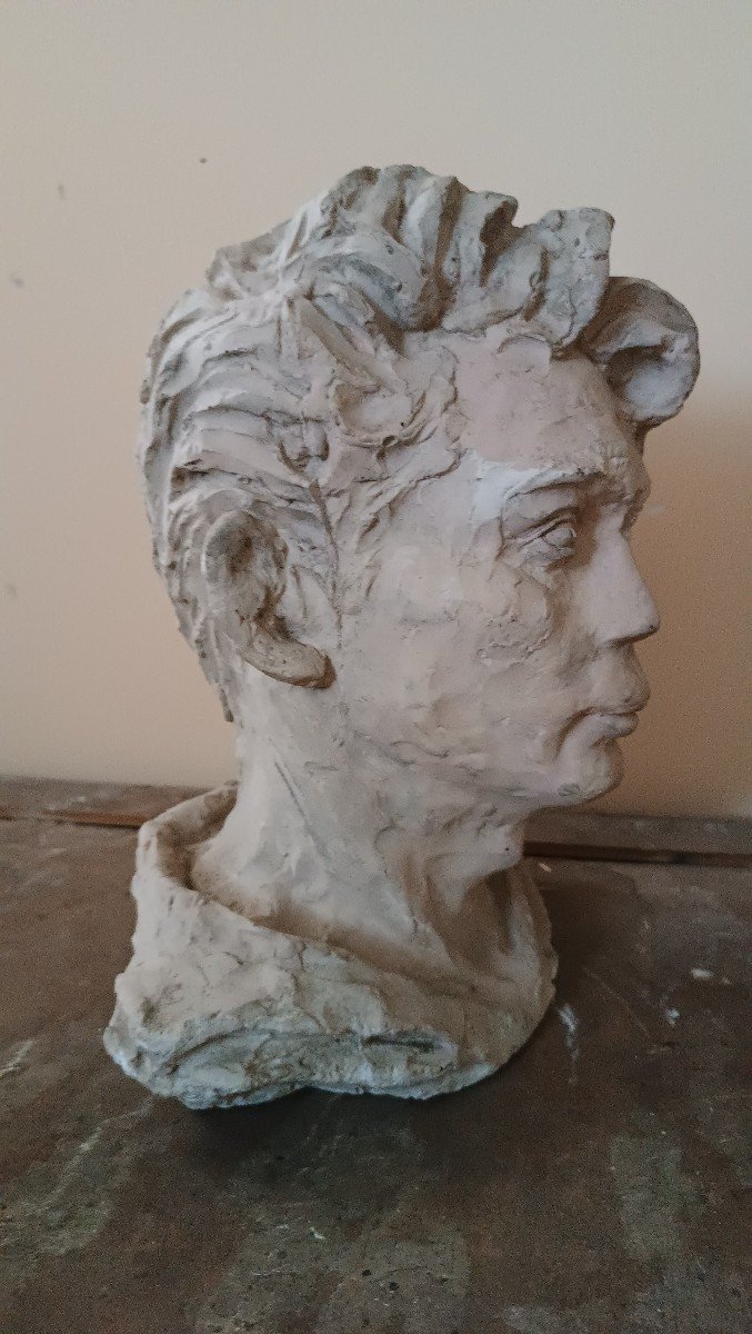 scultura busto in gesso firmato A.Novelli-photo-4